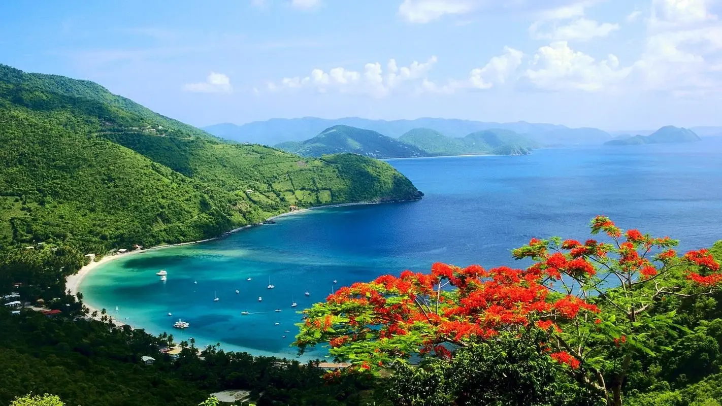节能智能系统全自动